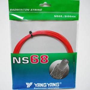 NS68 rood